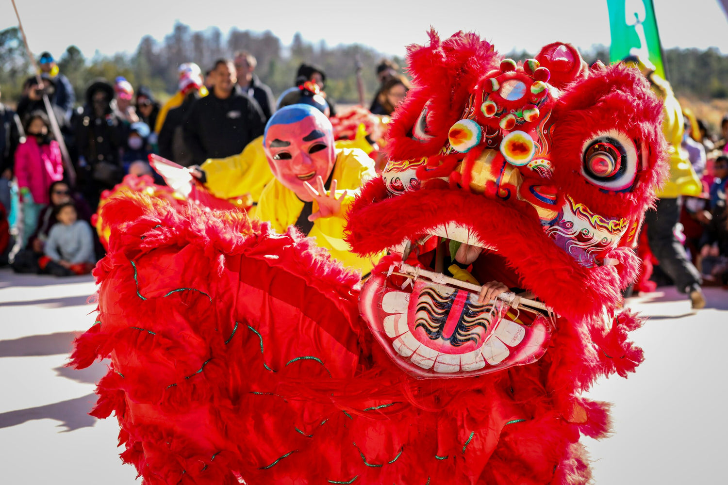 Chinese New Year Dragon