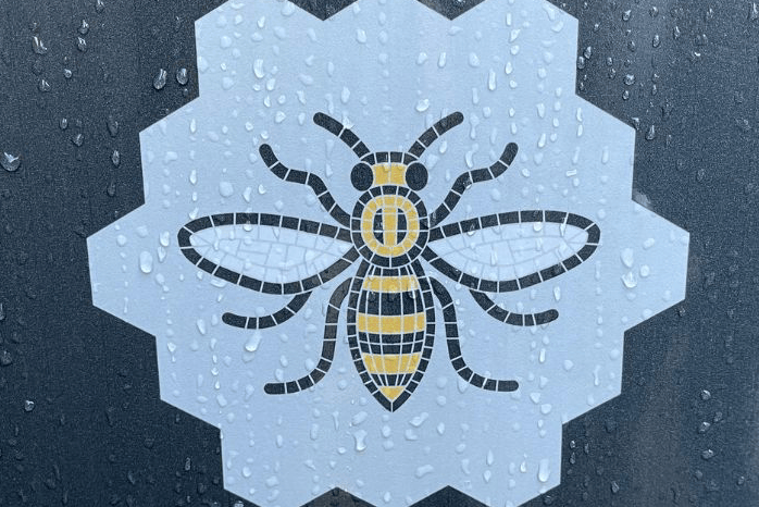 world-bee-day-the-manchester-way