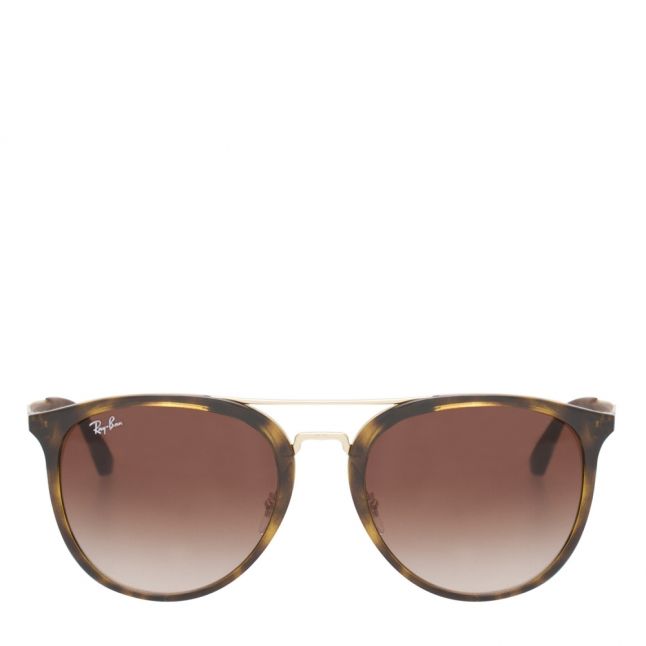 Light Havana/Brown RB4285 Sunglasses