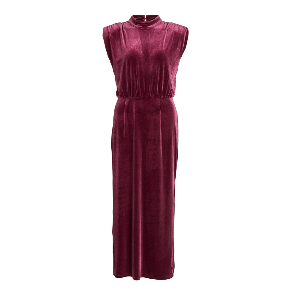 Womens Winter Bloom Viemily High Neck Velvet Dress