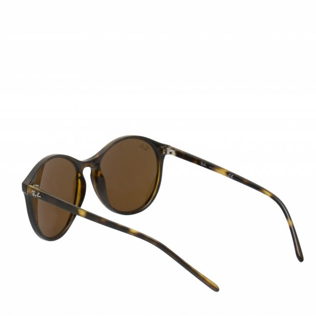 Havana RB4371 Round Sunglasses