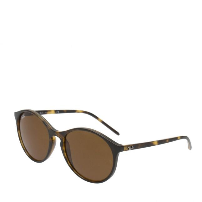 Havana RB4371 Round Sunglasses