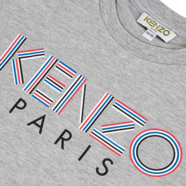 Boys Marl Grey Multicoloured Logo S/s T Shirt