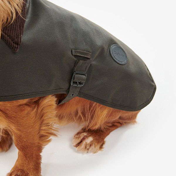 Olive Wax Dog Coat