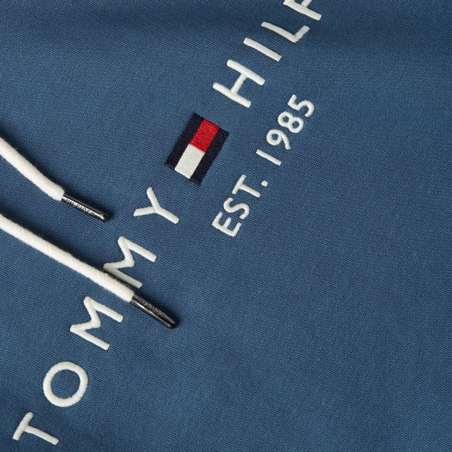 Mens Aegean Sea Tommy Logo Hoodie