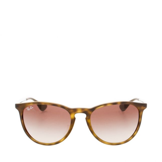 Havana RB4171 Erika Rubber Sunglasses