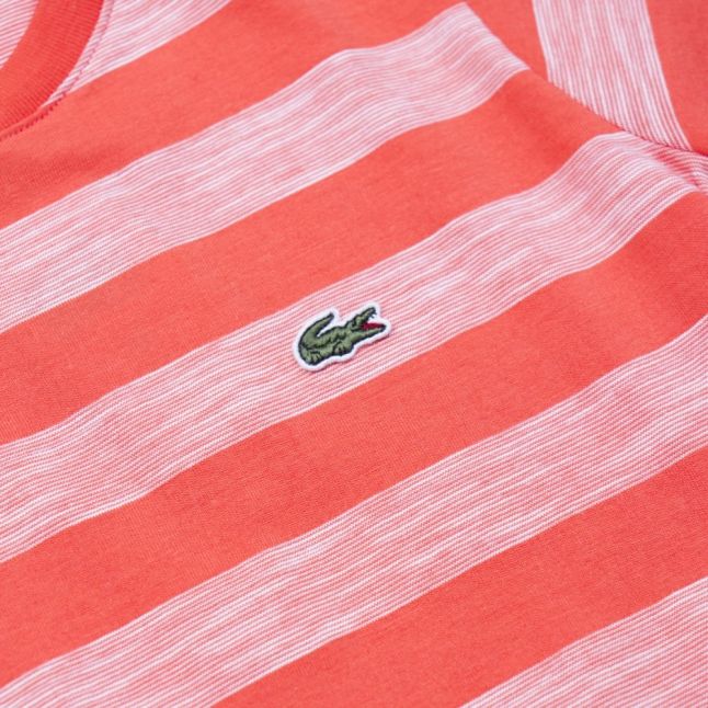 Boys Watermelon Striped Jersey S/s T Shirt