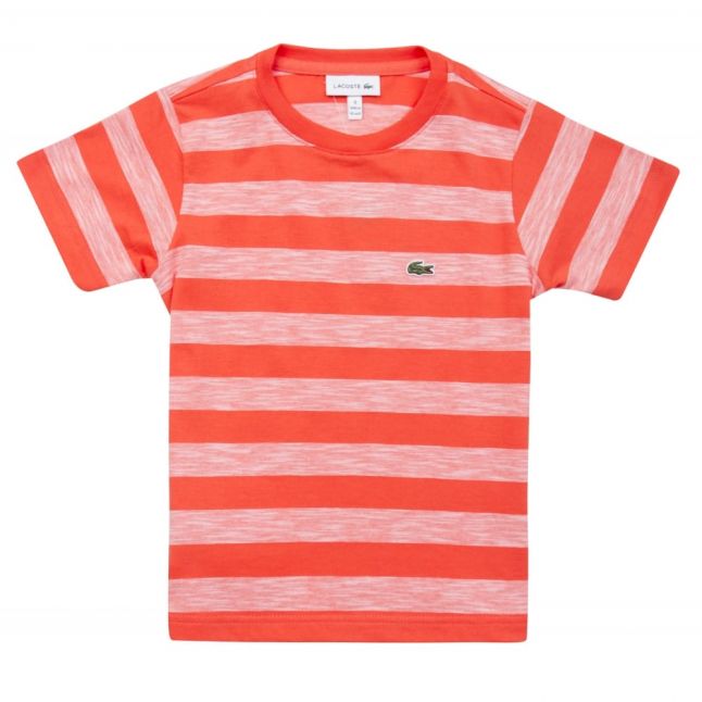 Boys Watermelon Striped Jersey S/s T Shirt