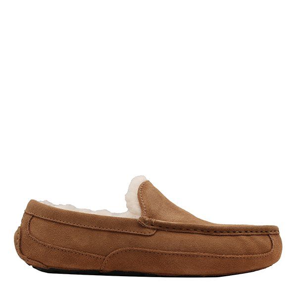 Mens UGG Chestnut Ascot Slippers