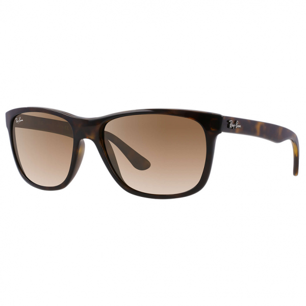 Light Havana RB4181 Sunglasses