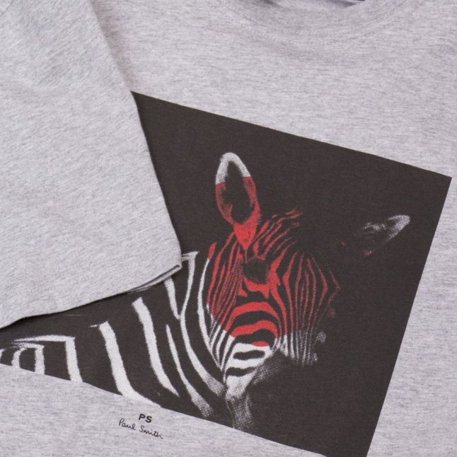 Mens Grey Zebra Reg Fit S/s T Shirt