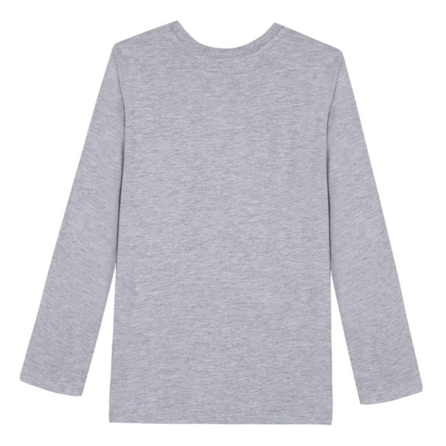 Boys Grey Marl Tiger L/s T Shirt