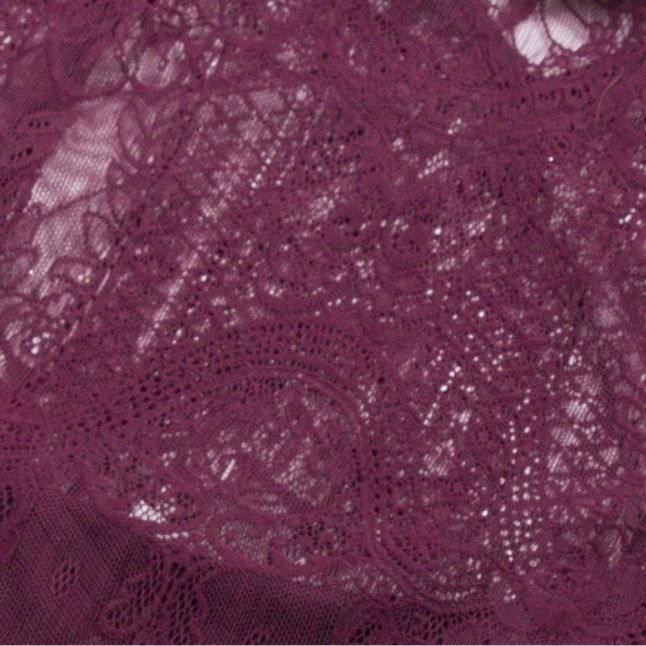 Womens Winetasting Vikarla Lace Detail Top