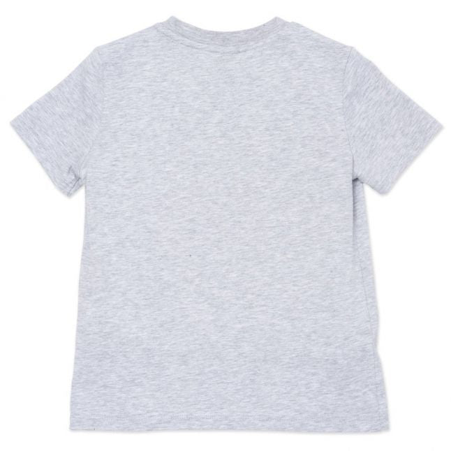 Boys Grey Marl Lenzo Island S/s T Shirt