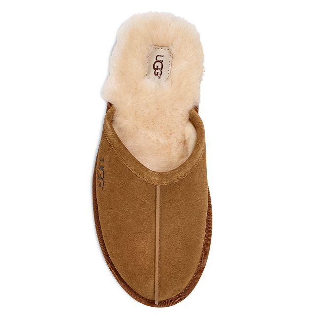 Mens UGG Chestnut Scuff Slippers