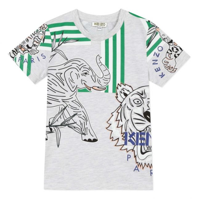 Boys Light Marl Grey Jacob Tiger Stripe S/s T Shirt