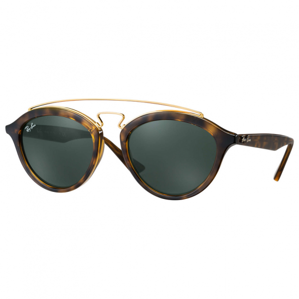 Havana RB4257 Sunglasses