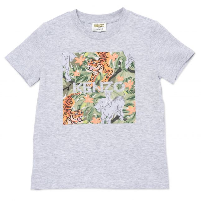 Boys Grey Marl Lenzo Island S/s T Shirt