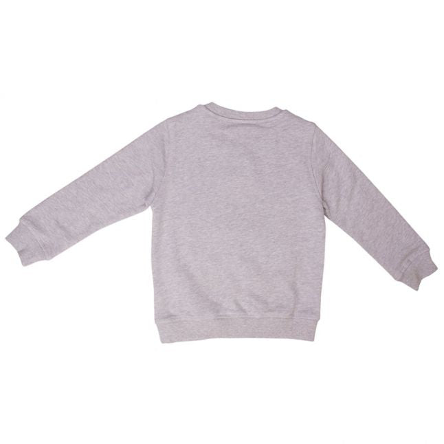 Boys Marled Grey Tiger 42 Bis Sweat Top